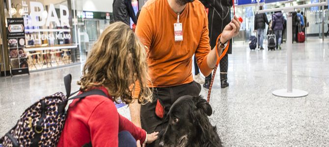 Pet therapy per chi ha paura di volare