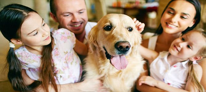 Adottare un cane: si o no?