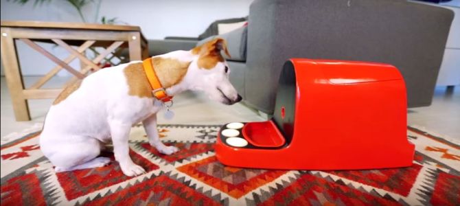 Arriva la prima console per cani