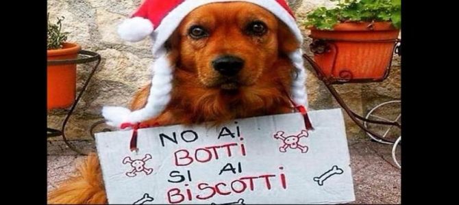 botti