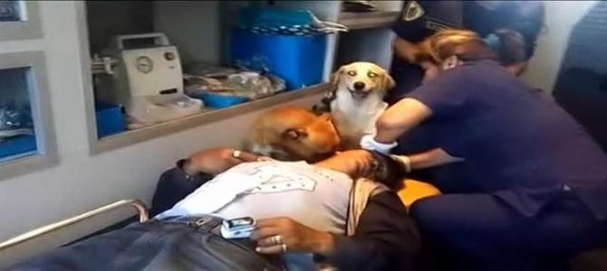 Cani seguono padrone anche in ospedale