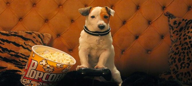cinema