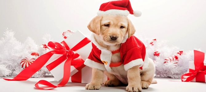 natale 2