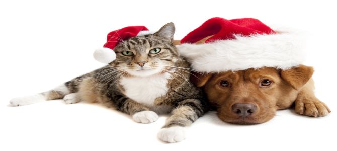 natale