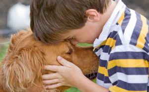 Educazione Cinofila2