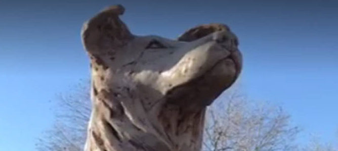 Inaugurata a Roma una statua in memoria del cane Angelo