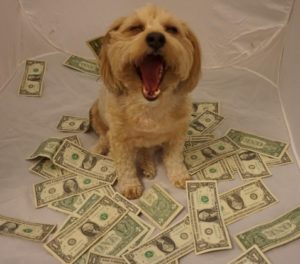 Dog money e1488224140277