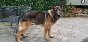 Warren e1486934539156