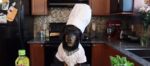 cane chef e1486930701296