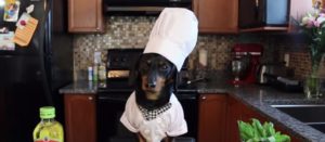 cane chef e1486930701296