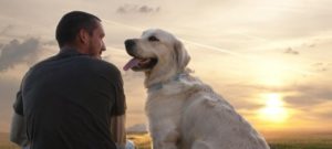 cane emozioni3 e1487262853172