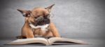 libri