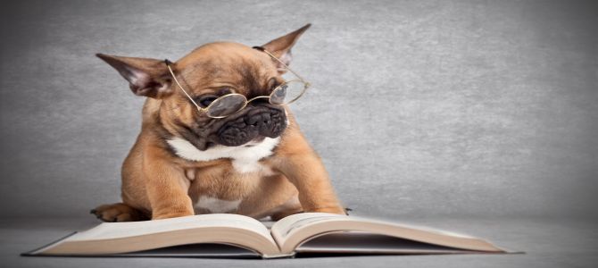 Chi legge libri fa bene ai cani in difficoltà