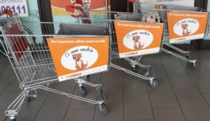 pet store conad carrelli