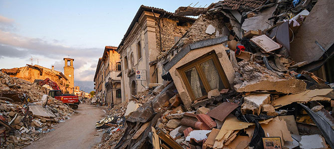 I cani superstiti del sisma cercano casa