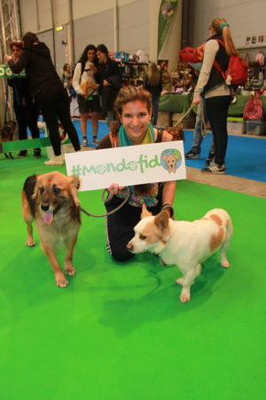 IMG 6664 e1489918873190