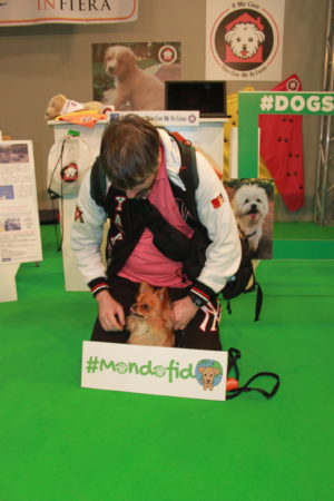 IMG 6722 e1489918770771