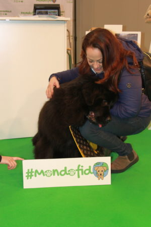 IMG 6744 e1489918736329