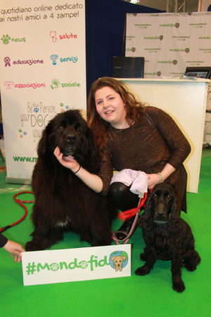 IMG 6750 e1489918709197