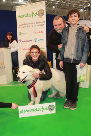 IMG 6756 e1489918689952