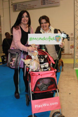 IMG 6794 e1489918627128