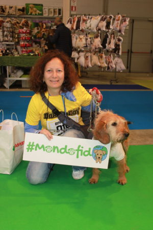 IMG 6803 e1489918609843