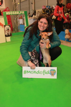 IMG 6822 e1489918530504