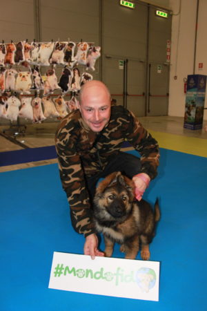 IMG 6826 e1489918511602