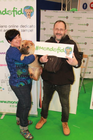 IMG 6849 e1489918457593