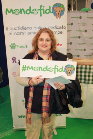 IMG 6872 e1489918400956