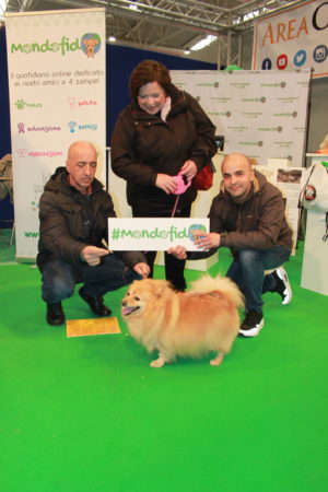 IMG 6874 e1489918383846