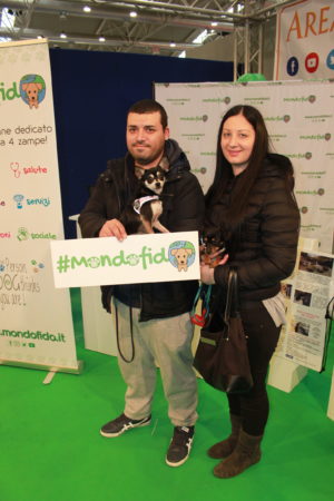 IMG 6884 e1489918348202