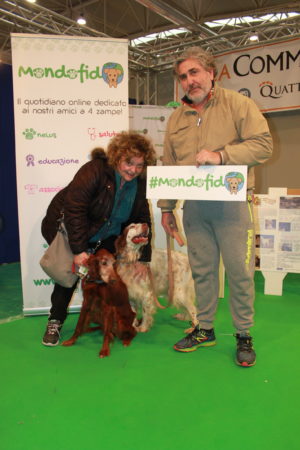 IMG 6890 e1489918321833