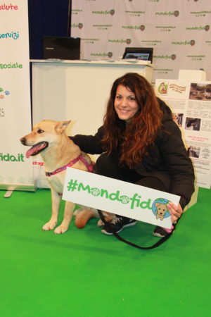 IMG 6909 e1489918245269