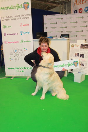 IMG 6910 e1489918217817