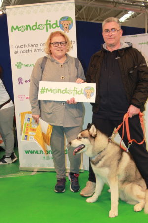 IMG 6931 e1489996369956