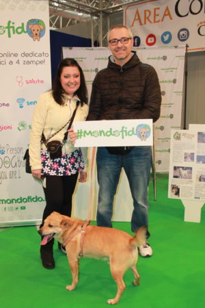 IMG 6984 e1489996422366