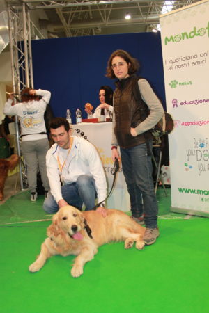 IMG 6997 e1489996445364