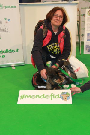 IMG 7073 e1489996541534