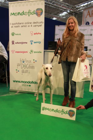 IMG 7083 e1489996581252