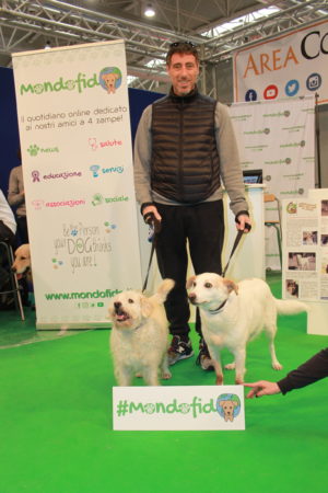 IMG 7087 e1489996601812