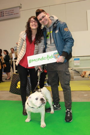 IMG 7129 e1489996641590