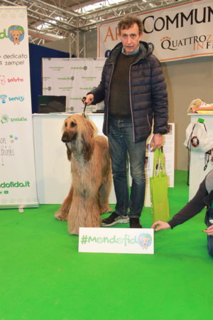 IMG 7139 e1489996663844