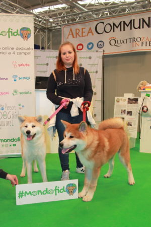 IMG 7159 e1489996684674