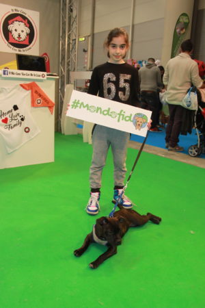 IMG 7168 e1489996724992