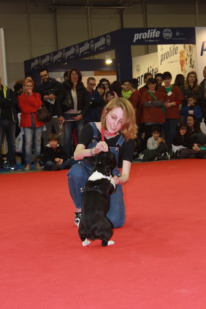 IMG 7205 e1489996764580