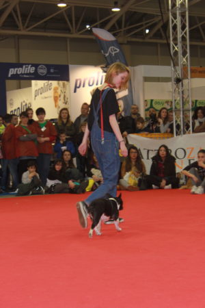 IMG 7206 e1489996782322