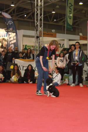 IMG 7208 e1489996802541