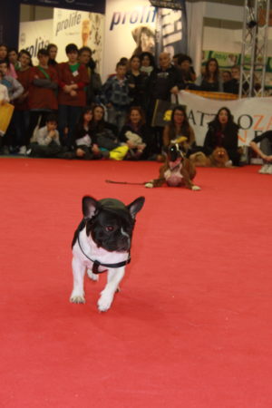 IMG 7212 e1489996821624