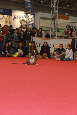 IMG 7213 e1489996839407